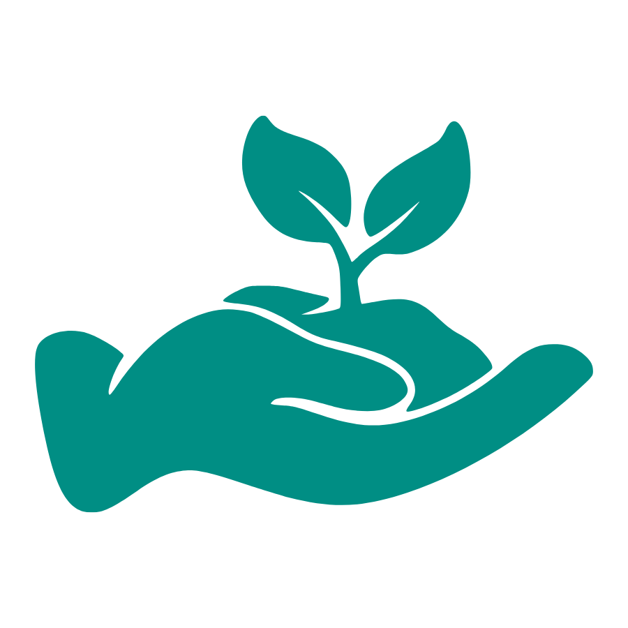 Hand holding growing plant