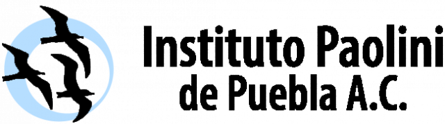 Logo for
